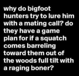 1787395768143.png