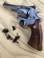 629 bee shooter.jpg