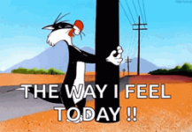 1789648279012.png 1789648279012.png