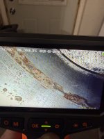 IMG_7099.jpeg