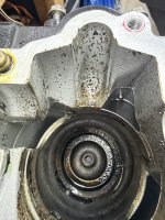 IMG_0267.jpeg