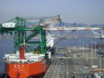chinacranes12.jpg