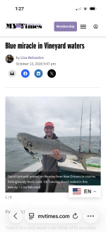 Blue miracle in Vineyard waters - MV Times.png