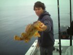 Sculpin.jpg