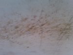 IMG00018-20100526-1154.jpg