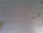 IMG00019-20100526-1154.jpg