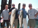 stripers 002.jpg