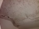 IMG00016-20100630-1126.jpg