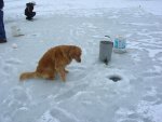 Paxton Ice fishing.jpg