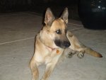 DSC03391.JPG