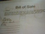 Picture 42.jpg