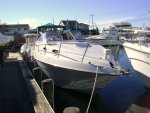 Bow View.JPG