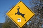 Deer A sign.jpg