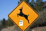 Deer B sign.jpg