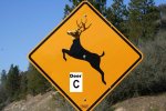 Deer%20B%20sign b.jpg