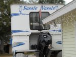 Sassie Vassie Stern.jpg
