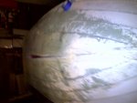 Chicago-20110219-00044.jpg