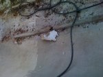 IMG_0780.jpg
