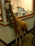 Giraffe.jpg