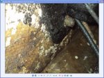 Water source.jpg