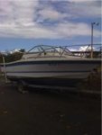 bayliner - , Botes Puerto Rico Clasificados Online.jpg