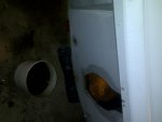 IMG-20110606-00018.jpg