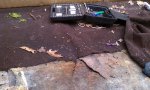 IMAG0174.jpg
