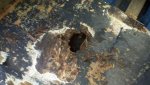 2011-06-18_10-17-22_294.jpg 2011-06-18_10-17-22_294.jpg