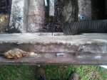 2011-06-28 08.54.38.jpg