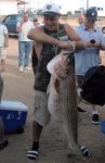 striper 52lb lake mead.jpg