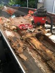 Boat2.jpg