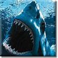 karrick7@sympatico.ca