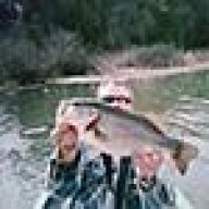 Micropterus dolomieu