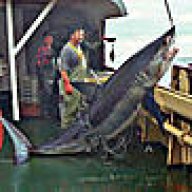JTFisherman