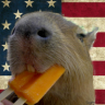 CapybaraJJ