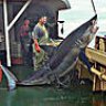 JTFisherman