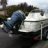 lingcod510