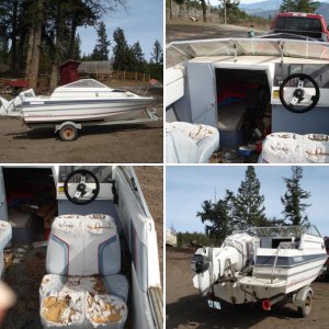 '95 Bayliner Capri Cuddy 1702