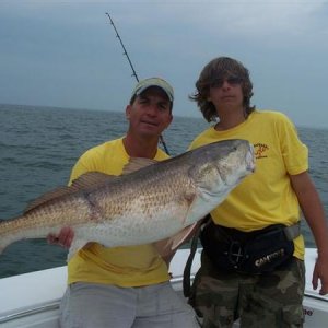 36lb, 44'' Red Drum