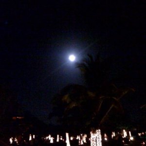 Blue moon. Taken with crappy iPhone camera just before new year 2009 in Mexico. Only happens once every 21 years. Wished I had a good camera handy.