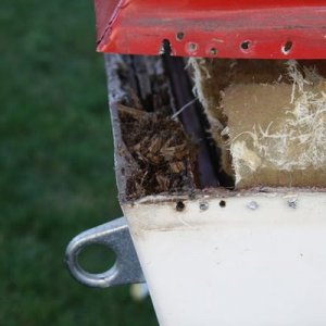 tabbing holding cap to hull & transom rot