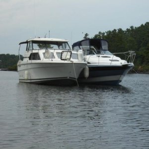 Anchored & out for a peddle boat tour