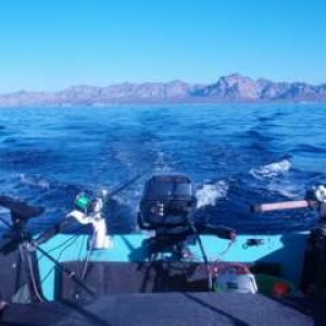 trolling about 2 miles off San Carlos, Sonora