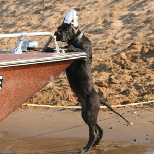 baby Green Bean trying to get in the boat