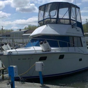 La Boat Blue, 1990 Carver 3227 Convertible