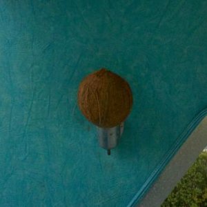 Custom made Coconut shell light shades