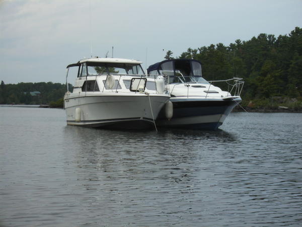 Anchored & out for a peddle boat tour