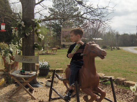 Kadry my grandson enjoying a ride on his stallion!