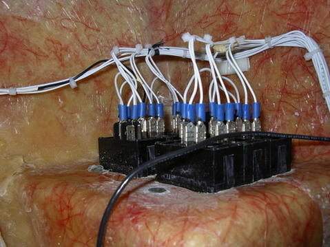 Switch wiring (all spade terminals are soldered in addition to the crimp)