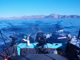 trolling about 2 miles off San Carlos, Sonora